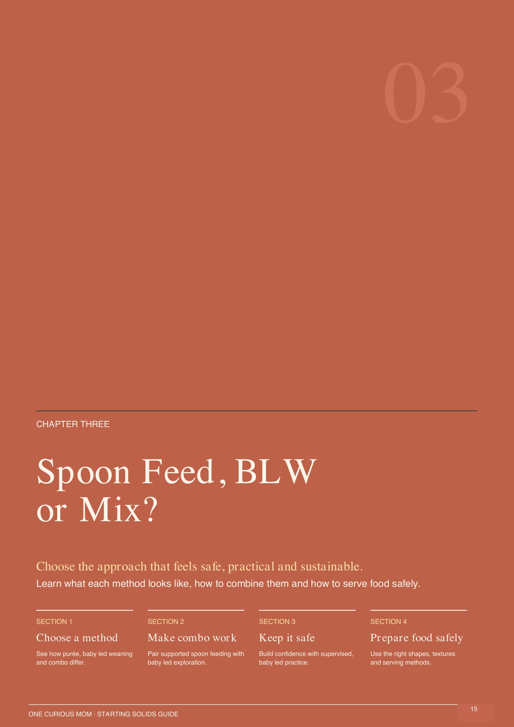Chapter Three: Spoon Feed, BLW or Mix