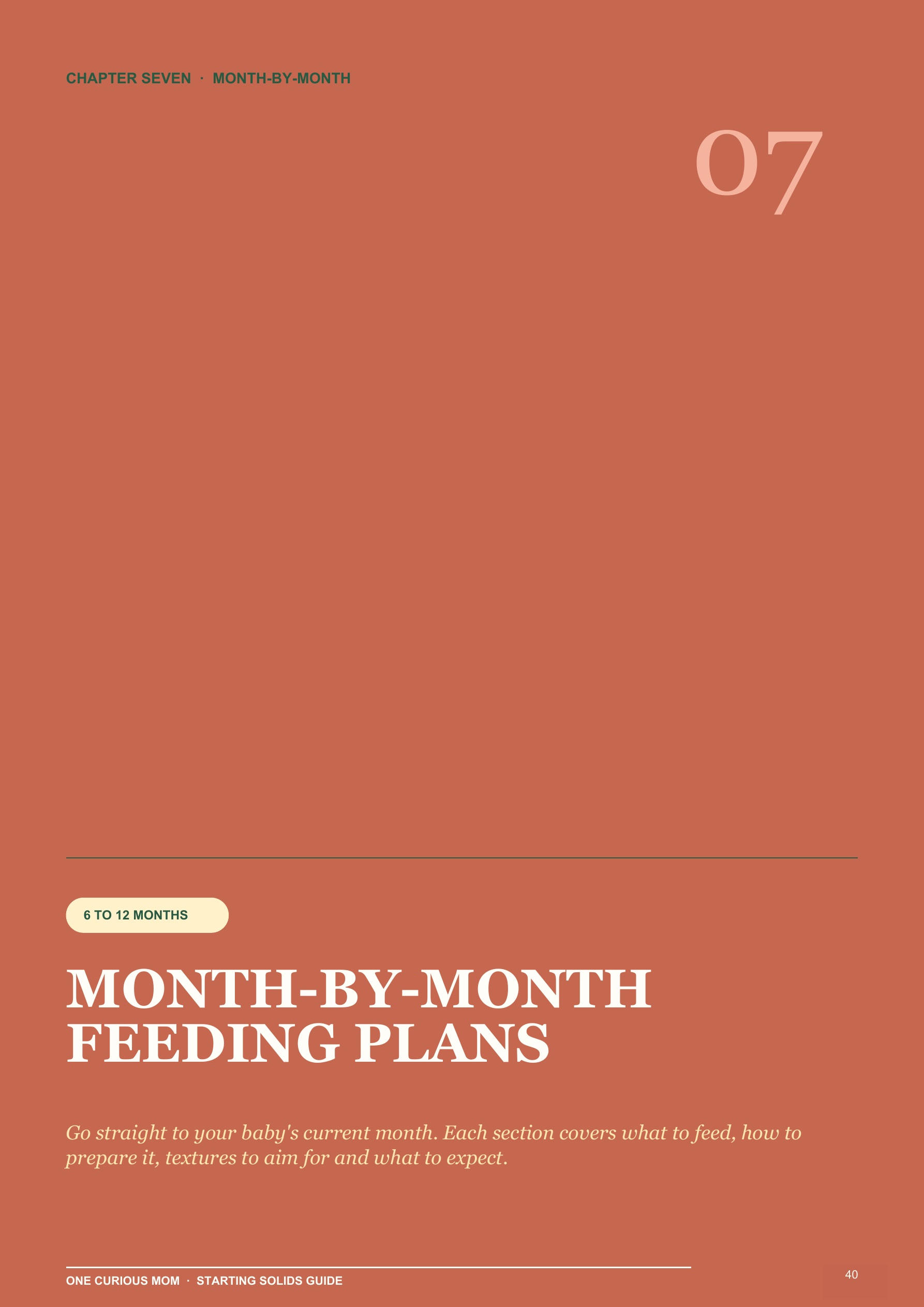 Starting Solids Guide page 41