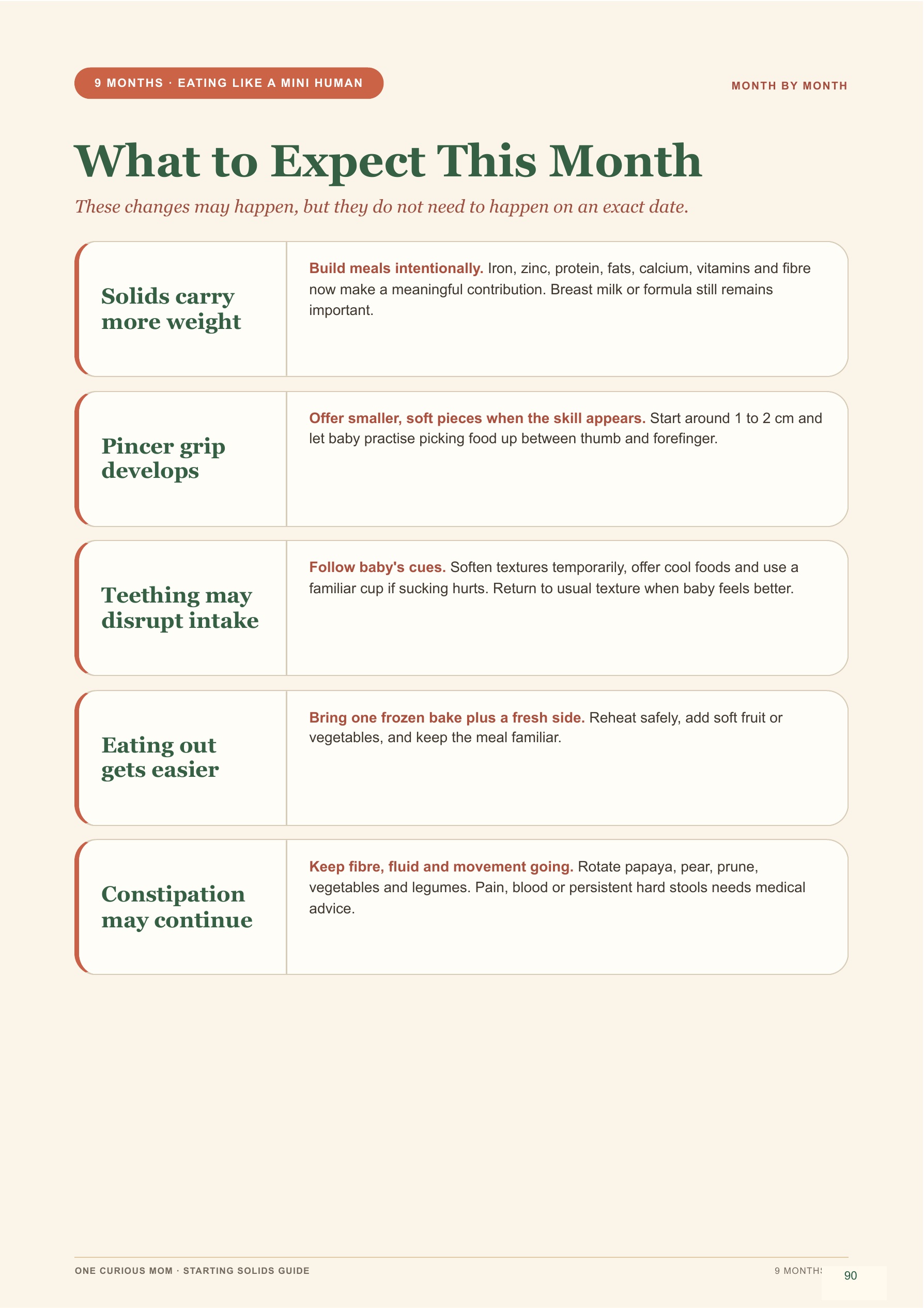 Starting Solids Guide page 91