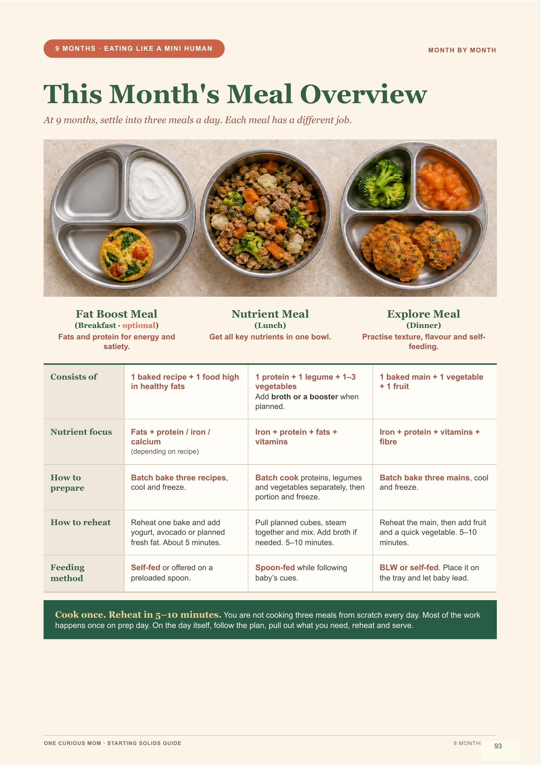 Starting Solids Guide page 94