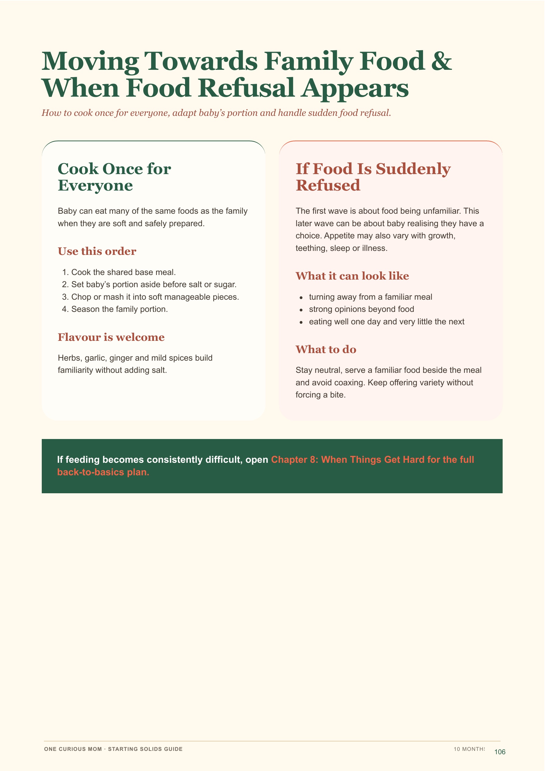 Starting Solids Guide page 107