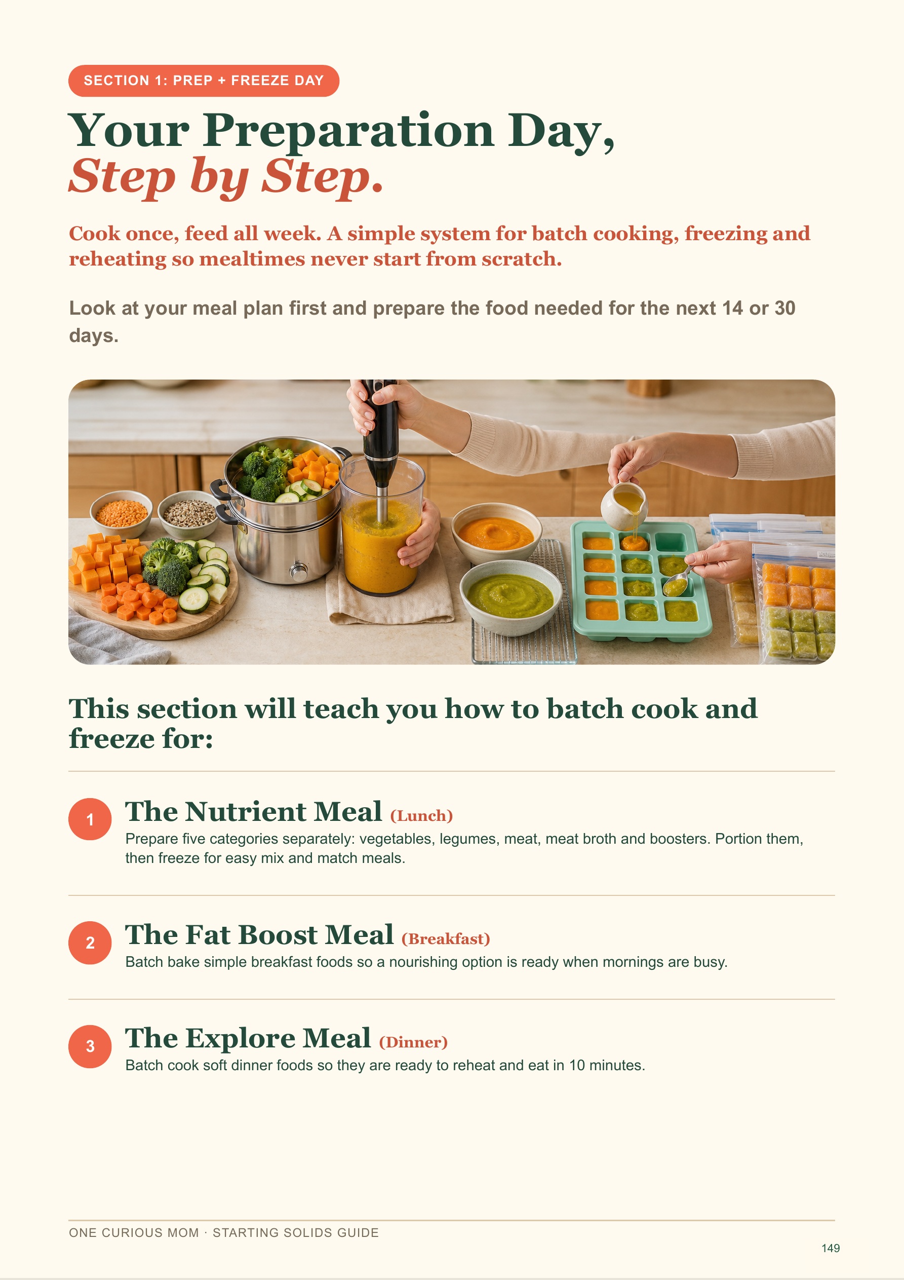 Starting Solids Guide page 150