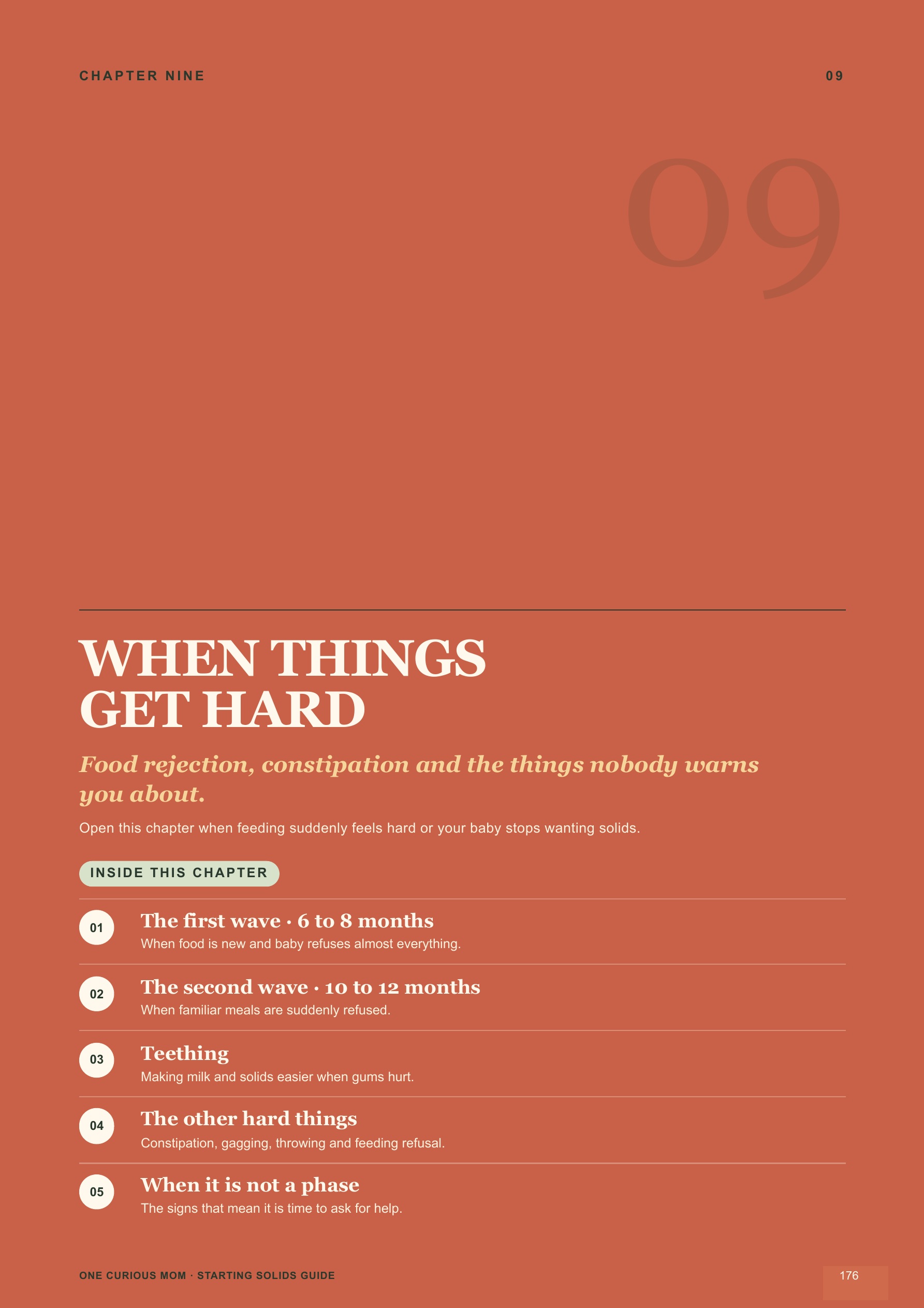 Starting Solids Guide page 177