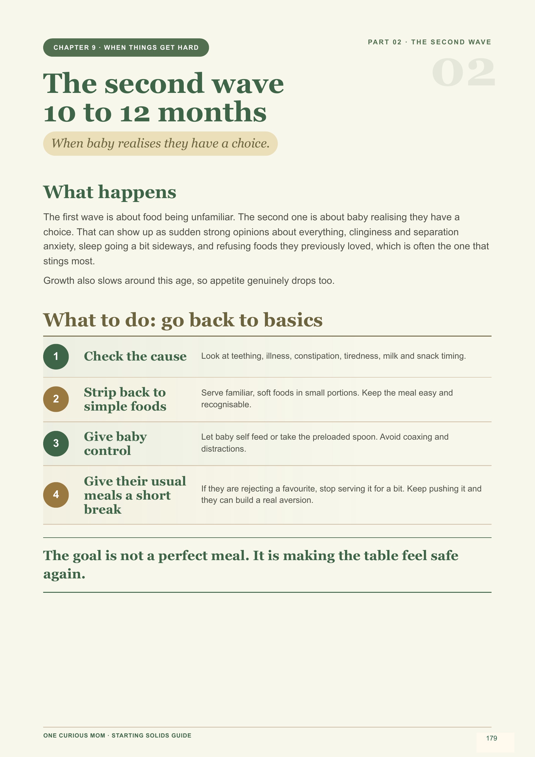 Starting Solids Guide page 180